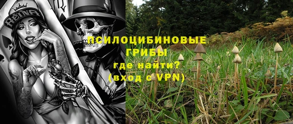 мескалин Гусев