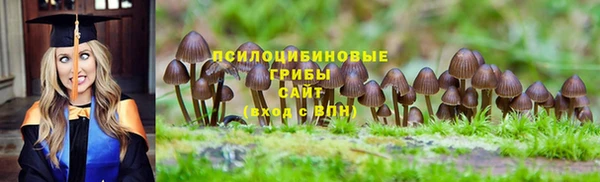 бутират Гусиноозёрск