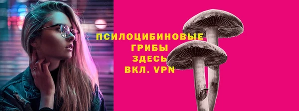 метадон Дмитриев