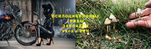бутират Гусиноозёрск