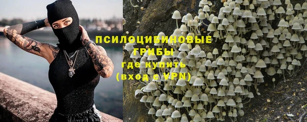 соль ск Гусь-Хрустальный