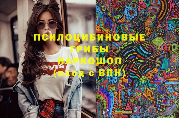 дурь Дмитровск
