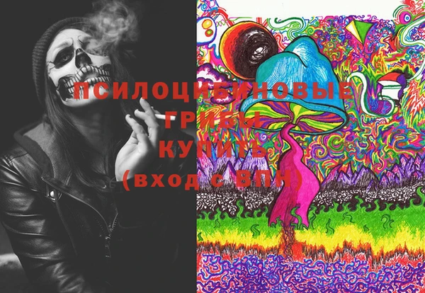 метадон Дмитриев