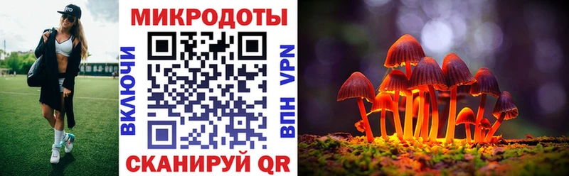Галлюциногенные грибы Cubensis  Геленджик 