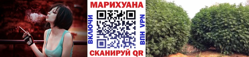 Бошки Шишки семена Геленджик